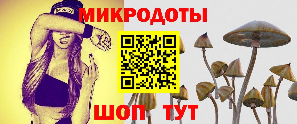 Галлюциногенные грибы Magic Shrooms Тейково